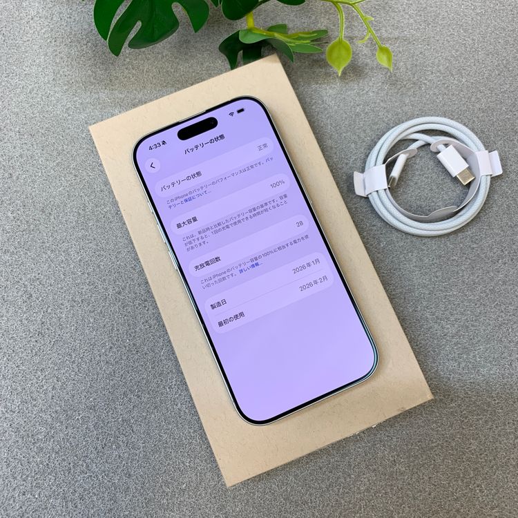 �Хåƥ꡼ 100�� iPhone17 256GB �ۥ磻�� ������ SIM�ե꡼ ����̵��