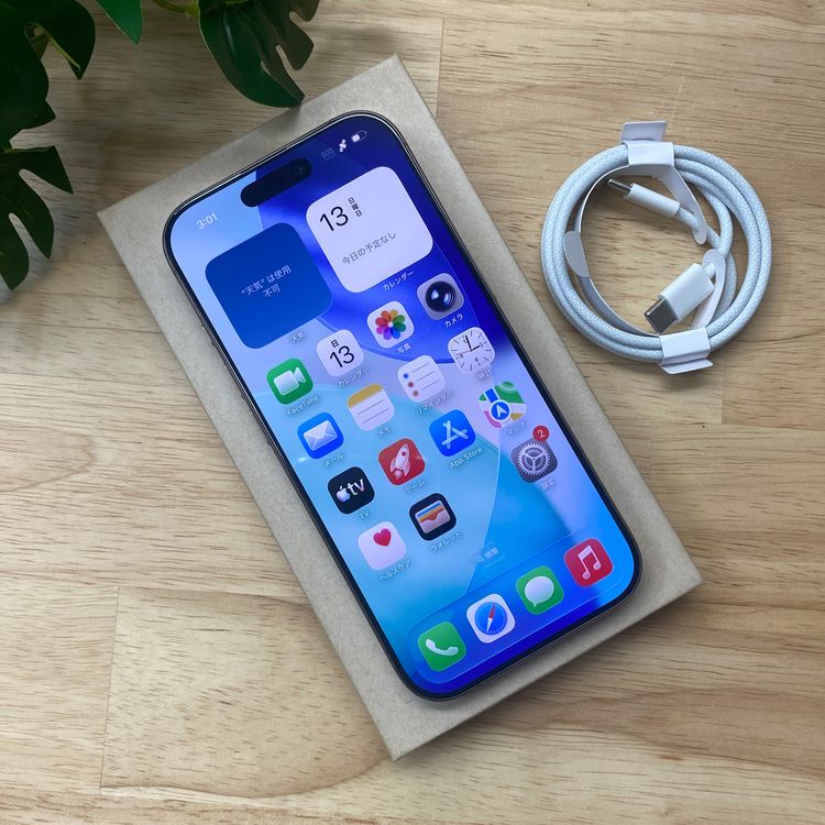 iPhone16Pro 1TB �ǥ����� ������ SIM�ե꡼ ����̵��