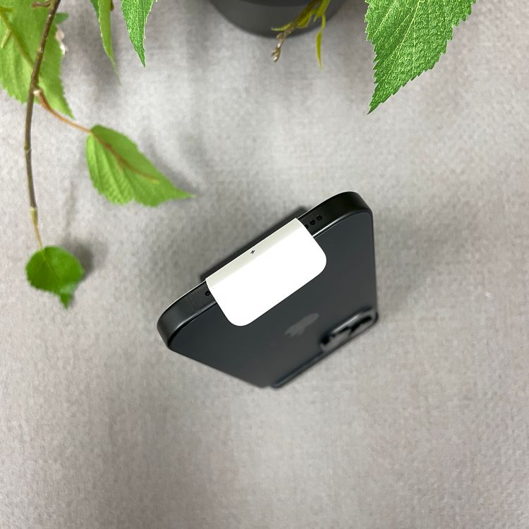 Ʊ  iPhone15 128Gb ֥å  SIMե꡼ ̵