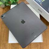 ����Ʊ�� iPad Pro M4 13����� 256GB WiFi + Cellular ����̵��