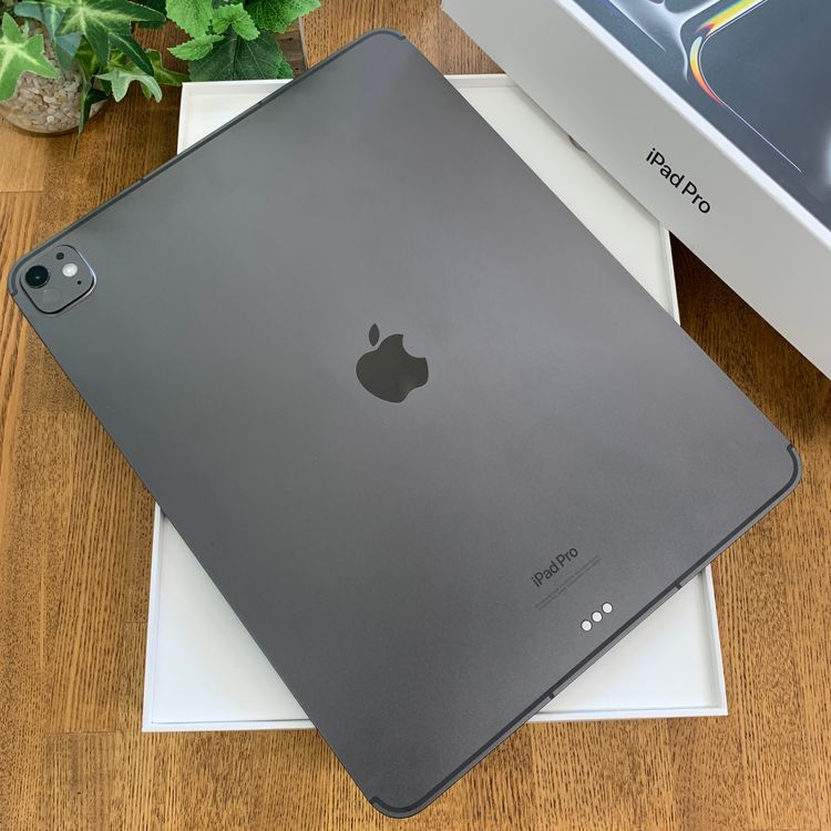 ����Ʊ�� iPad Pro M4 13����� 256GB WiFi + Cellular ����̵��