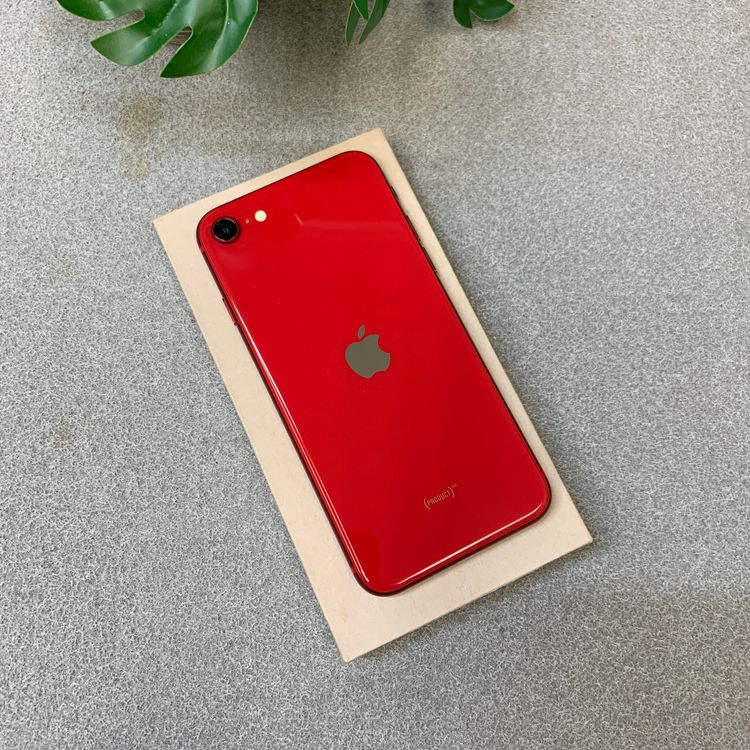 iPhone SE�裲���� 128Gb ��å� ������ SIM�ե꡼