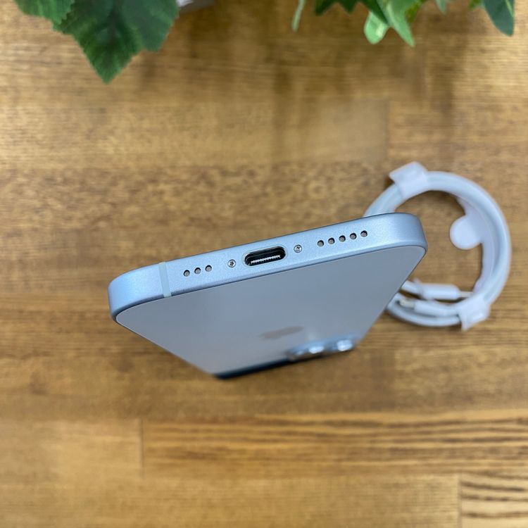 iPhone 15 512GB �֥롼 ������ SIM�ե꡼����̵��