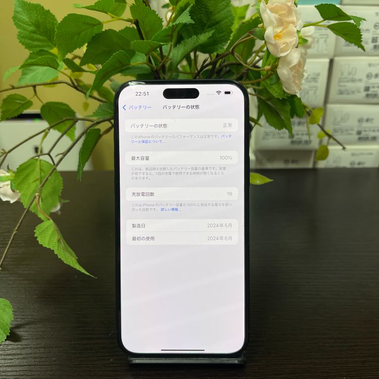 iPhone 15Plus 128GB ֥å SIMե꡼̵