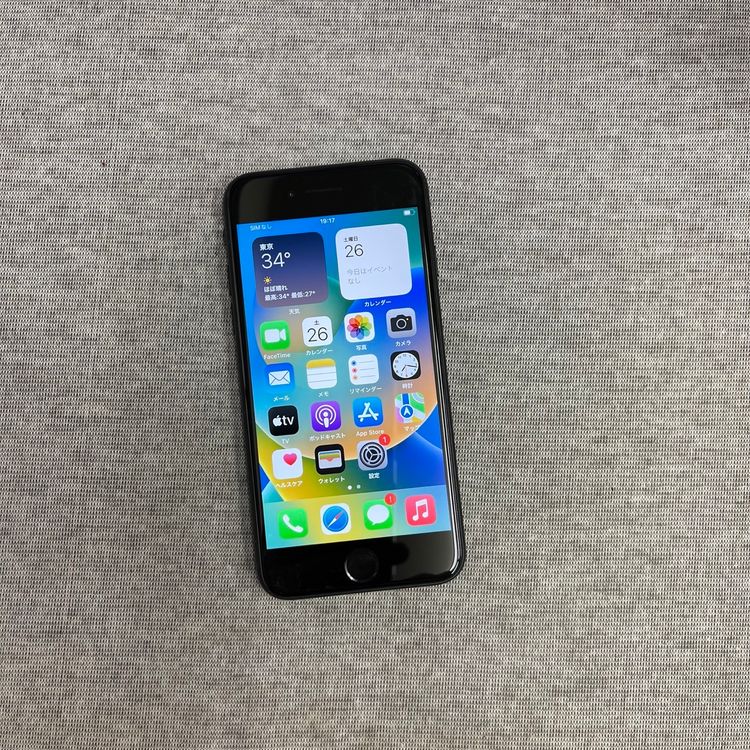 iPhone SE(裲) ֥å 64GB ɥ SIMե꡼