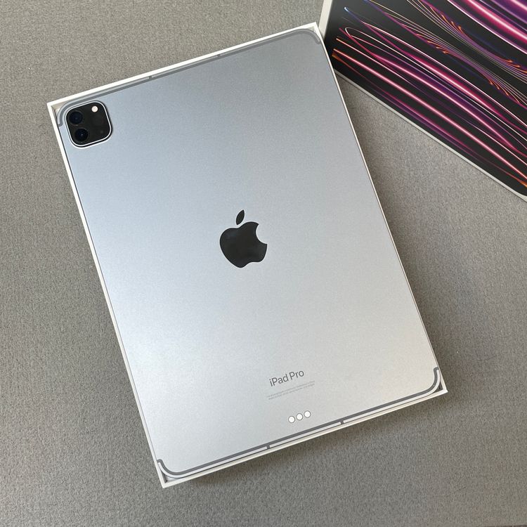 iPad Pro 11���������4����) ���쥤 512GB Wi-Fi + Cellular��ǥ�