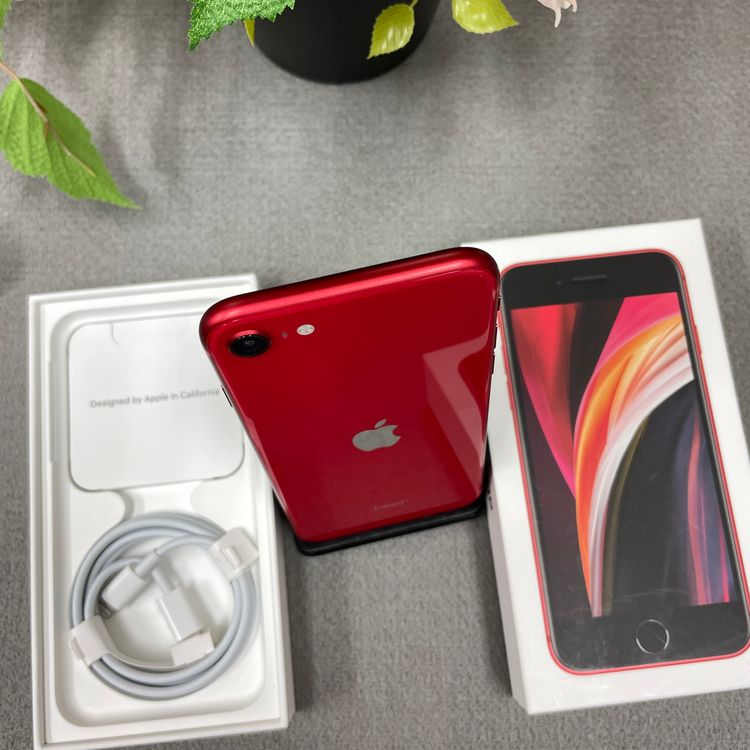 Ʊ iPhone SE(裲)å 64GB  SIMե꡼̵