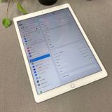 iPad Pro 12.9���������2�����256GB Wi-Fi + Cellular��ǥ�
