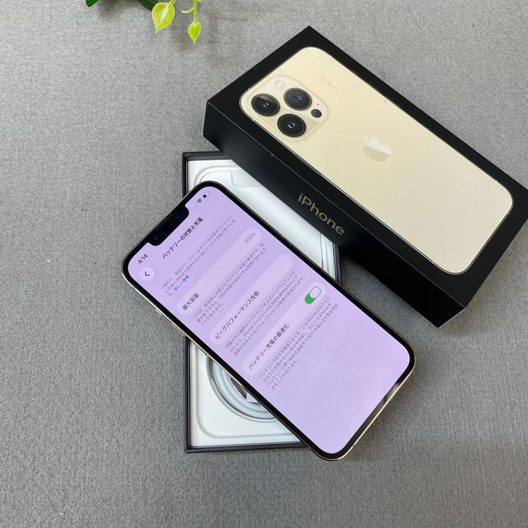 �Хåƥ꡼ 100% iPhone 13Pro 256GB ������� ����SIM�ե꡼ ����̵��