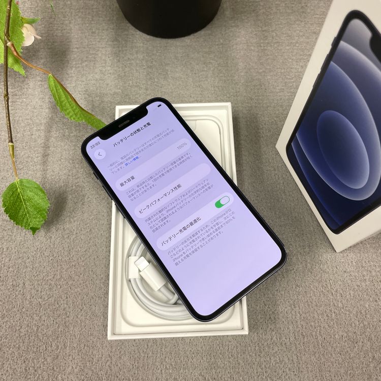 iPhone 12 mini 128GB  �֥�å� SIM�ե꡼ ����̵��