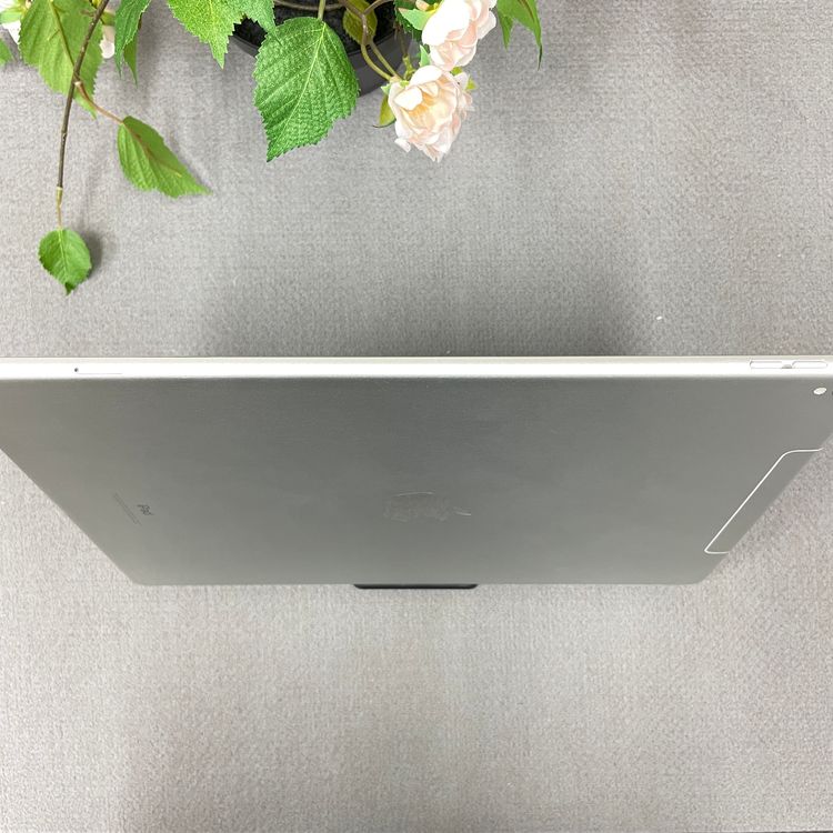 iPad Pro 12.9���������2�����256GB Wi-Fi + Cellular��ǥ�