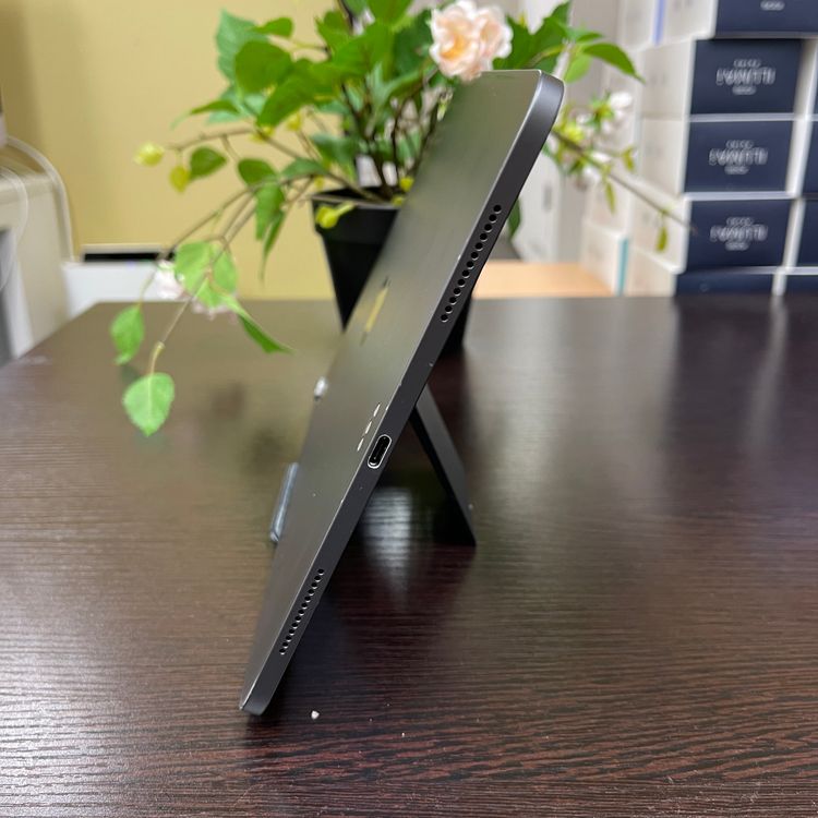 iPad Pro 11 졼 64GB Wi-Fiǥ ̵