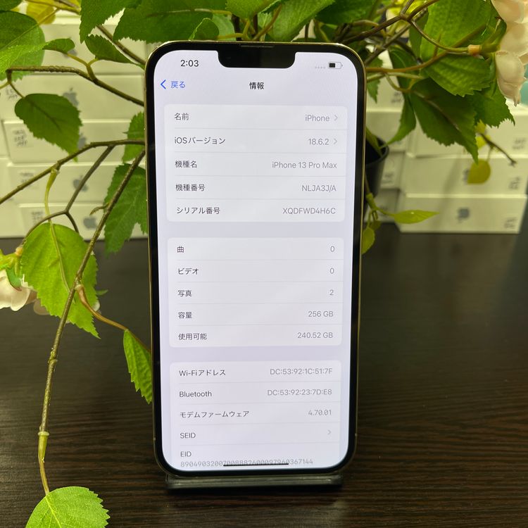 iPhone 13ProMax 256GB  SIMե꡼ ̵