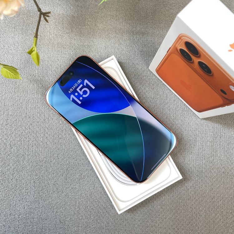 �Хåƥ꡼ 100% iPhone 17Pro 256GB ����� ������SIM�ե꡼����̵��