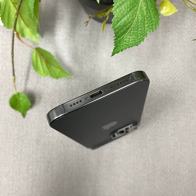 iPhone 15ProMax 512GB ֥å SIMե꡼ ̵