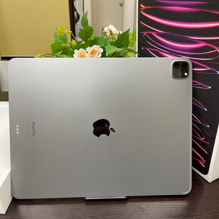 iPad Pro 12.96M2 å 256GB Wi-Fiǥ