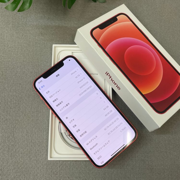 iPhone 12 64GB ��å� ������ SIM�ե꡼����̵��