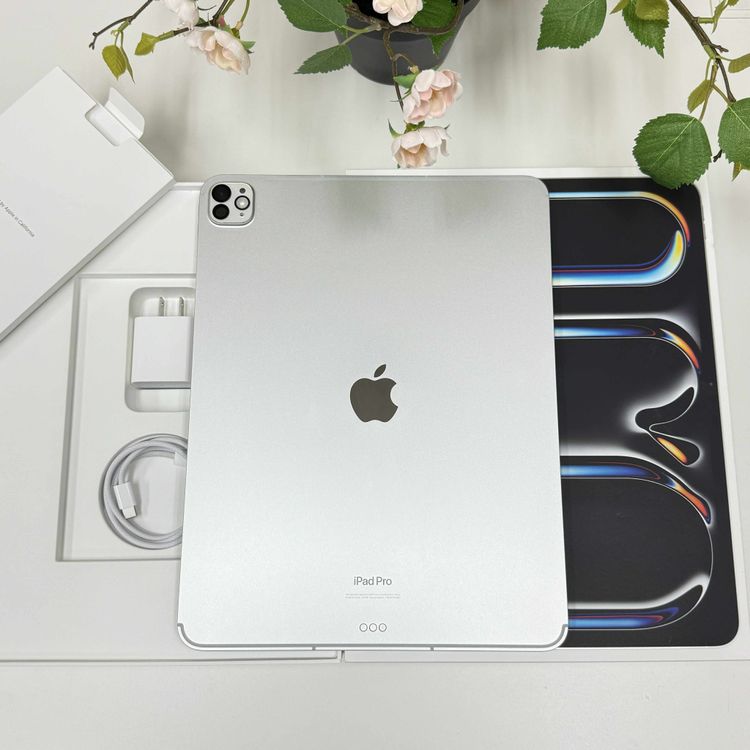 iPad Pro M4å 2TB 13 С WiFi + Cellular ̵