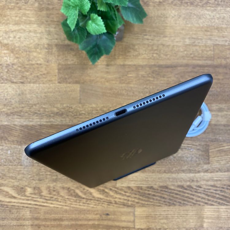 iPad mini 5 ���ڡ������쥤 64Gb Wi-Fi��ǥ� ����̵��