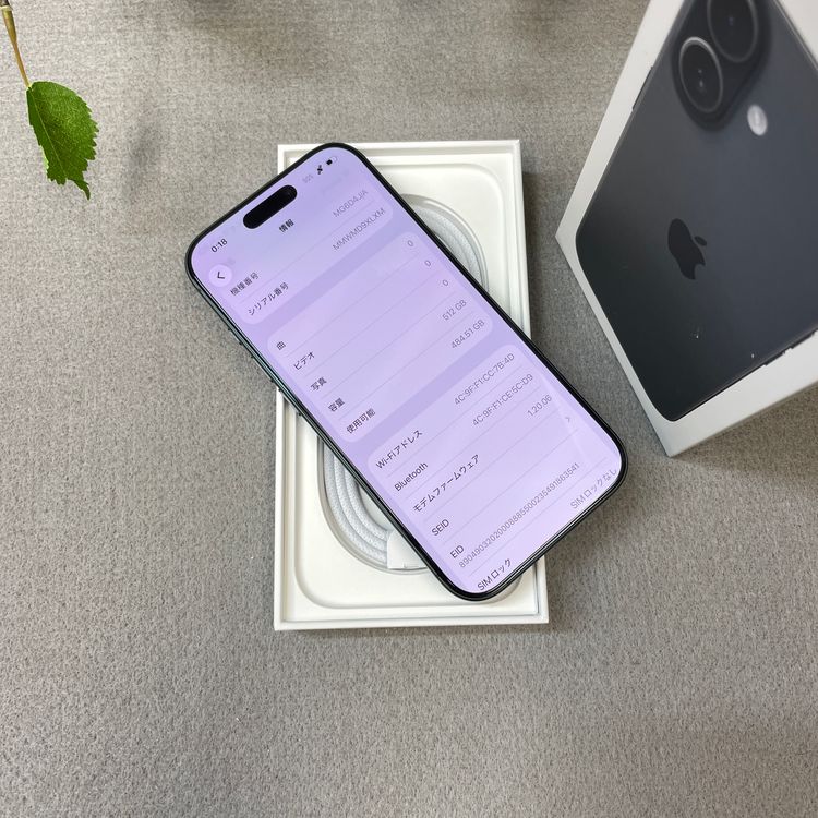 ����Ʊ�� iPhone 17 512GB �֥�å� ������ SIM�ե꡼ ����̵��