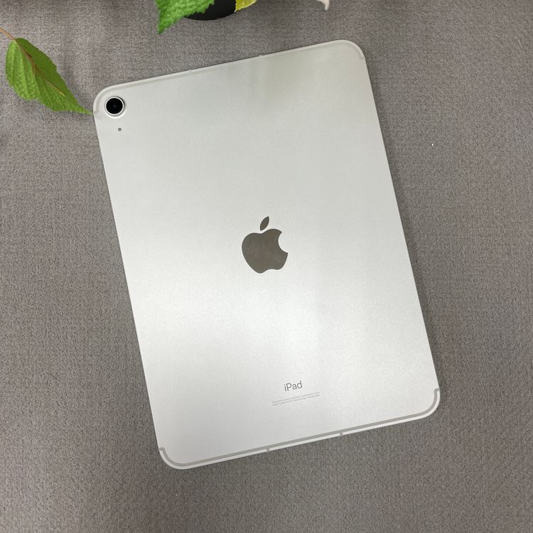 Ʊ iPad(10) 64GB Wi-Fi + Cellularǥ ̵