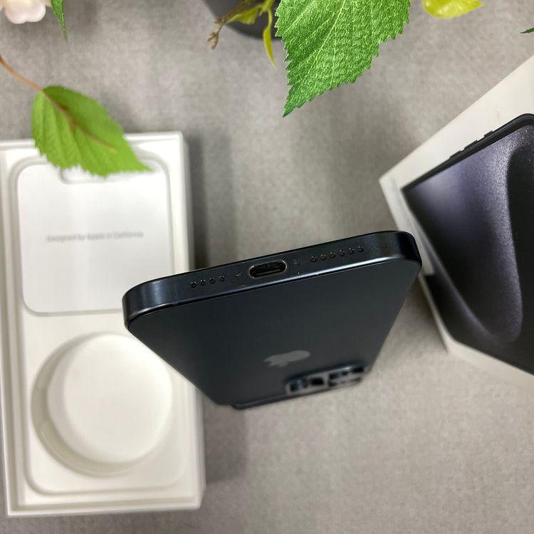 iPhone15ProMax 256GB �֥롼 ������SIM�ե꡼����̵��