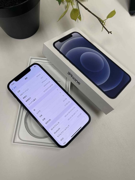iPhone 12 64GB ֥å ŷХ  SIMե꡼̵