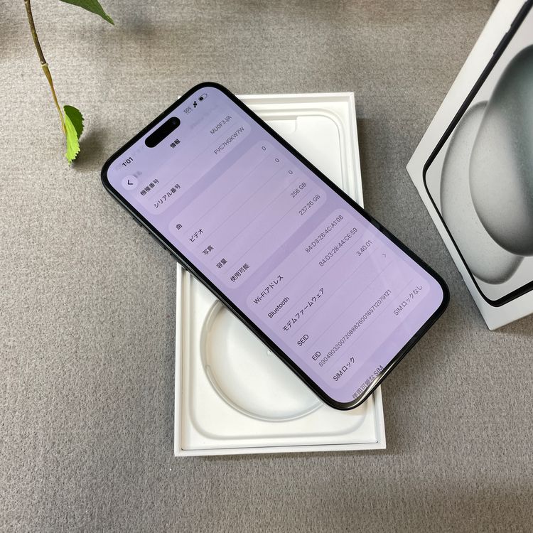 iPhone 15Plus 256GB �֥�å� ����SIM�ե꡼ ����̵��