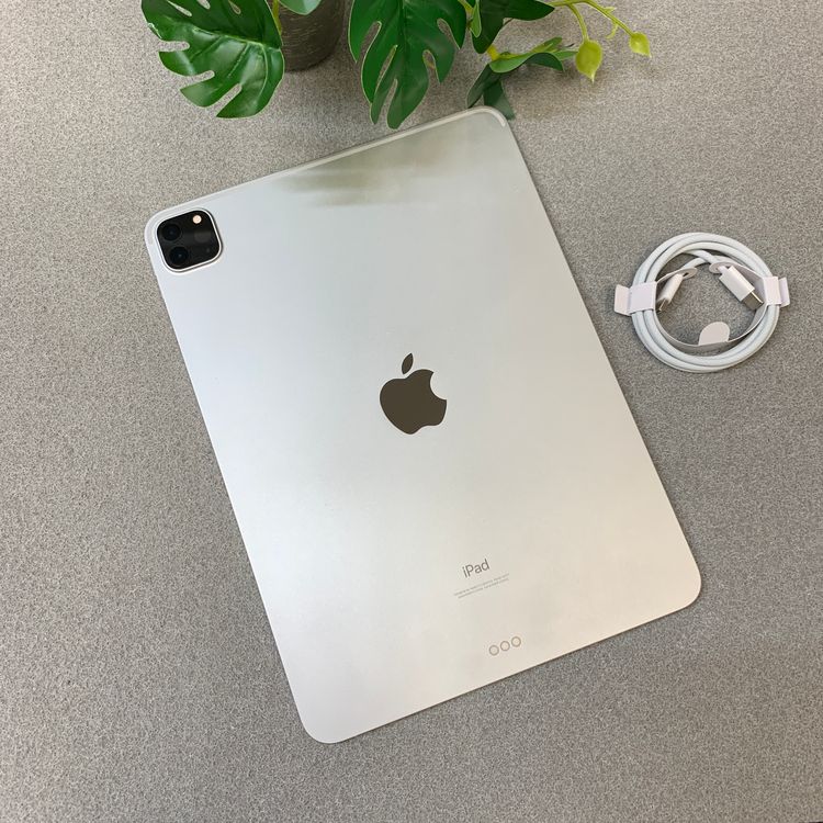 iPad Pro 11���������3�����128GB Wi-Fi��ǥ롡ȯ��̵��