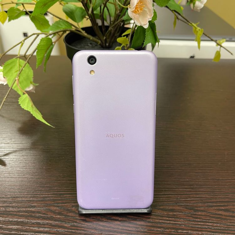 AQUOS sense SH-01K ѡץ SIMե꡼ ̵