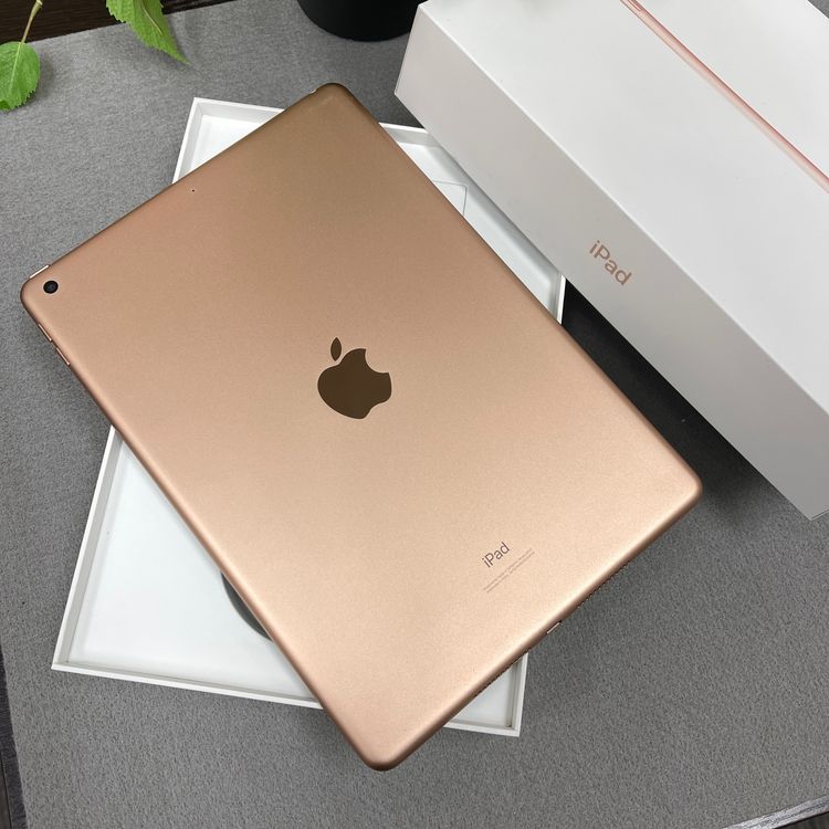 iPad �裷���� 2019 32GB ������� Wi-Fi��ǥ� ����̵��