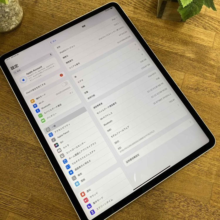 iPad Pro裳 12,9 256GB СWiFi Cellular ̵