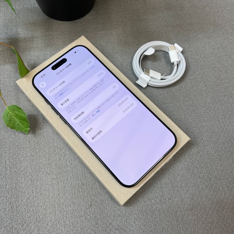 �Хåƥ꡼ 100% iPhone 16ProMax 256GB �֥�å� ������ SIM�ե꡼