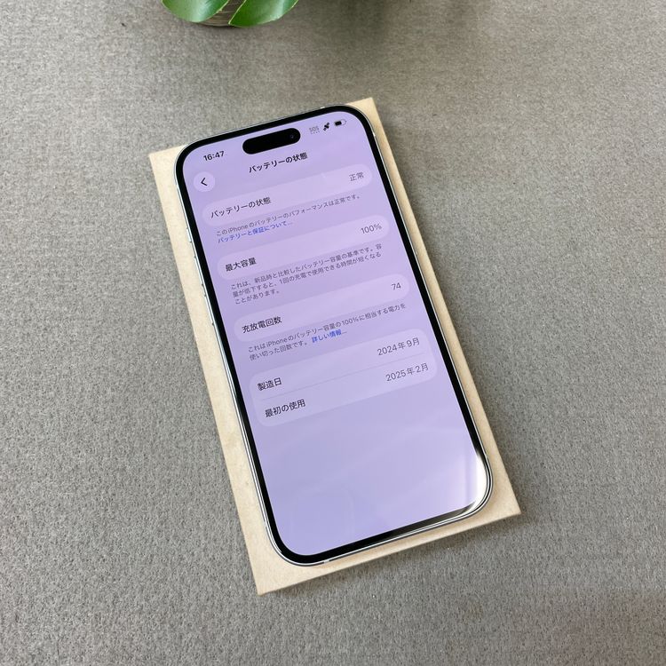 �Хåƥ꡼ 100% iPhone15 128GB �֥롼   ������ SIM�ե꡼ ����̵��