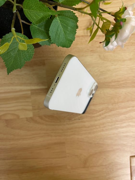 iPhone 14 128GB 饤 AU SIMե꡼ ̵