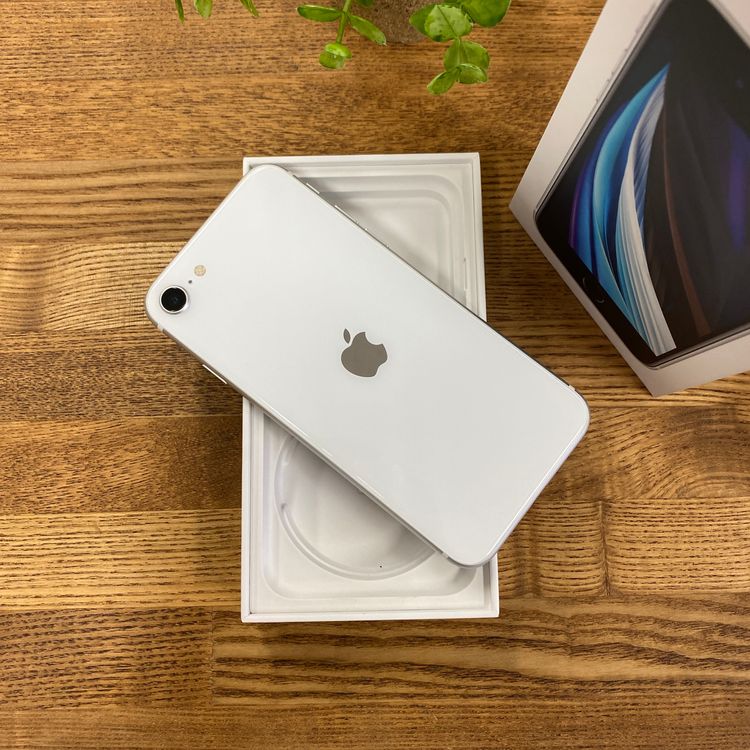iPhone SE(��2 ����) 64GB �ۥ磻�� ����SIM�ե꡼ ����̵��