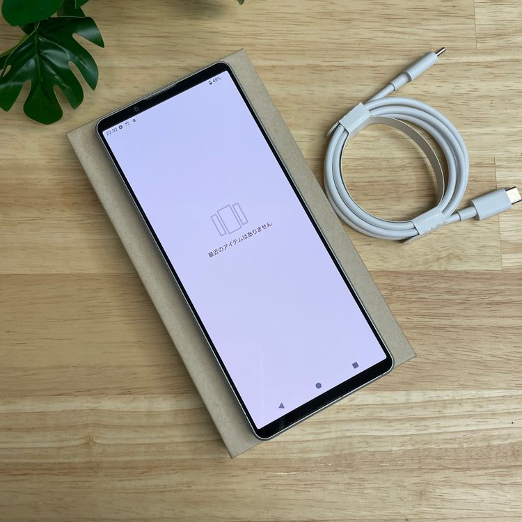 Sony Xperia 1 V SO-51D 256GB ����С� �ɥ����� SIM�ե꡼����̵��