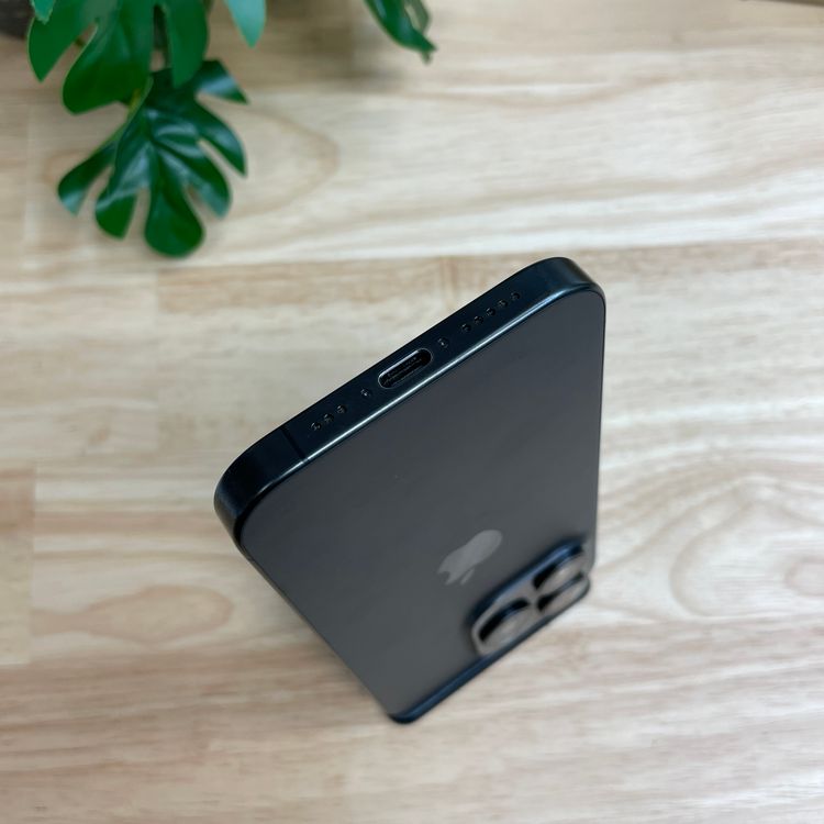 �Хåƥ�� 100% iPhone 15Pro 256GB �֥�å� ������ SIM�ե꡼����̵��