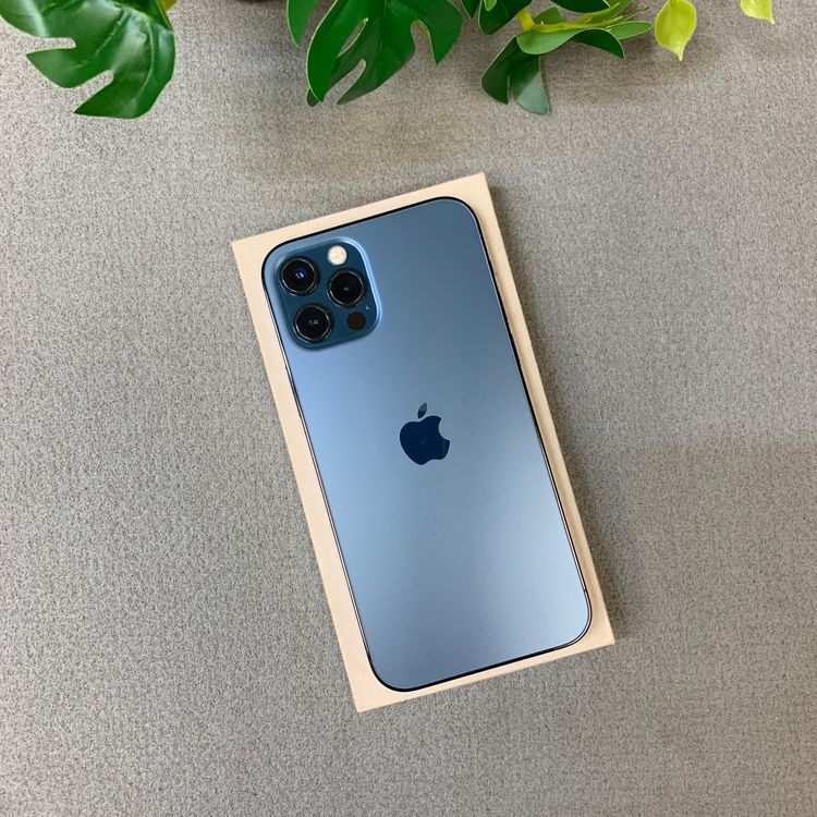 iPhone 12Pro 128GB �ѥ��ե��å��֥롼 ����SIM�ե꡼ ����̵��