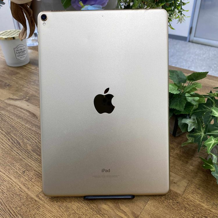 iPad Pro 10.5 256GB  WiFi ̵