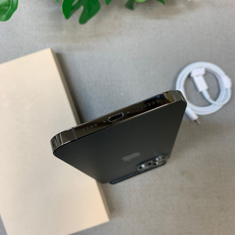 �Хåƥ꡼ 100�� iPhone12 ProMax 256Gb ����SIM�ե꡼ ����̵��