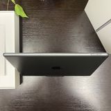 iPad(9) 64GB ڡ쥤 Wi-Fiǥ