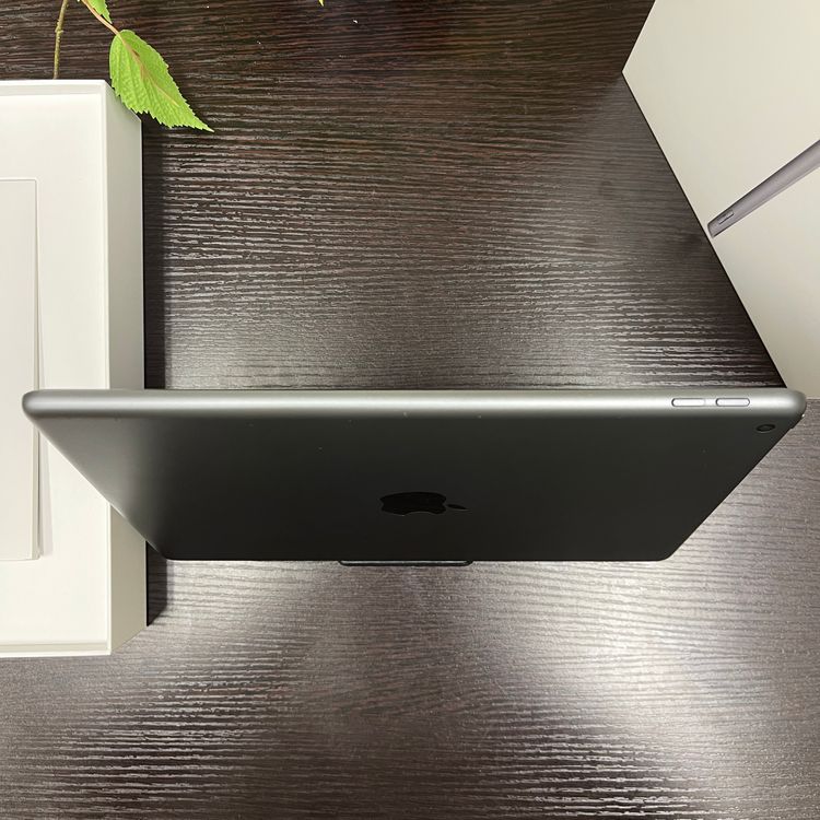 iPad(9) 64GB ڡ쥤 Wi-Fiǥ