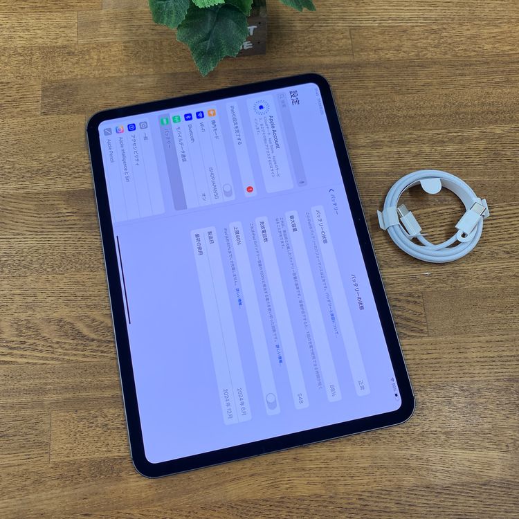 11�����iPad Pro��M4��256GB  Wi-Fi + Cellular��ǥ�