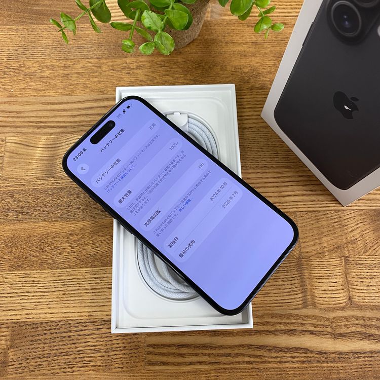 �Хåƥ꡼100% iPhone16 �֥�å� 256GB ������SIM�ե꡼ ����̵��