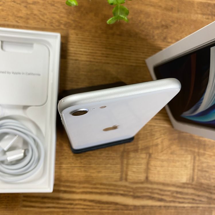 iPhone SE(��2 ����) 128GB �ۥ磻�� ����SIM�ե꡼ ����̵��
