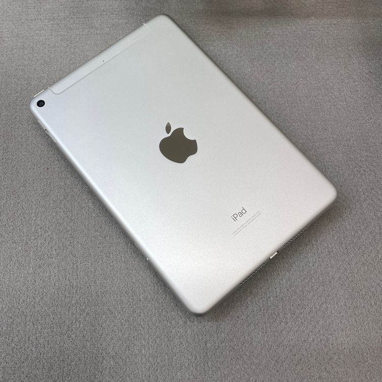iPad Mini �裵���� 64GB ����С� WiFi + Cellular ����̵��