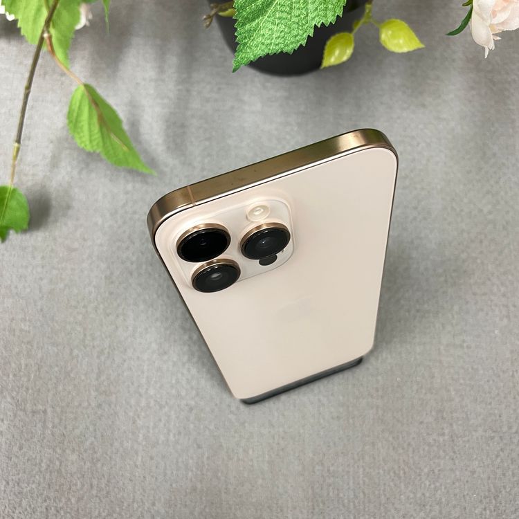 iPhone16ProMax 1TB ǥȹSIMե꡼̵