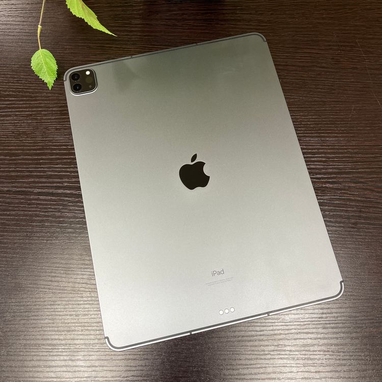 iPad Pro 12.95M1å Wi-Fi + Cellularǥ