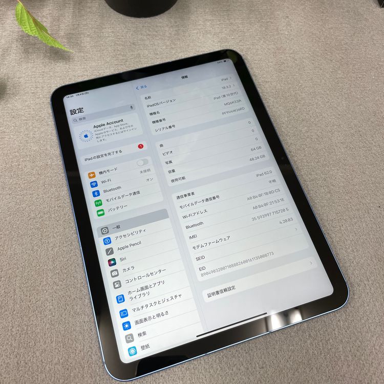 iPad(��10����)  64GB Wi-Fi + Cellular��ǥ� SIM�ե꡼����̵��